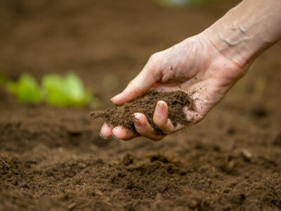 Soil Fertility Decline