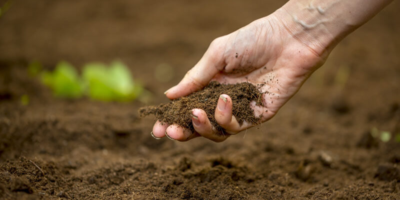 Soil Fertility Decline