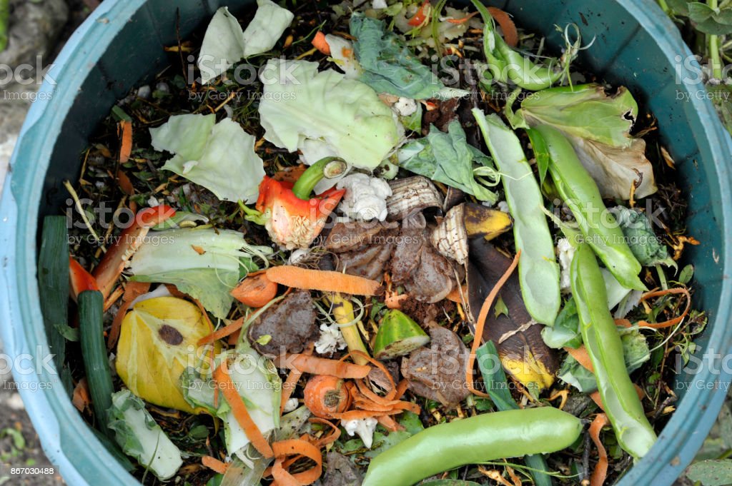 Kitchen Waste Composting