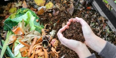 Kitchen Waste into Organic Fertilizer