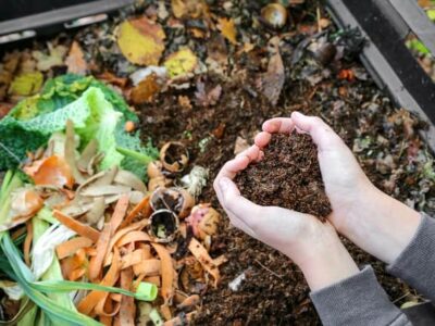 Kitchen Waste into Organic Fertilizer