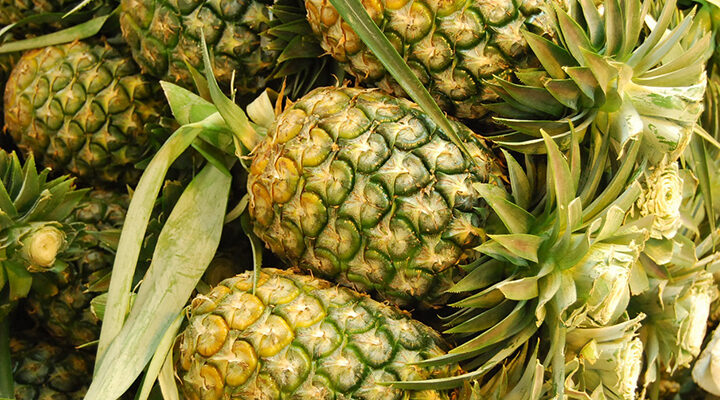 Makkal Thookki Pineapple Variety