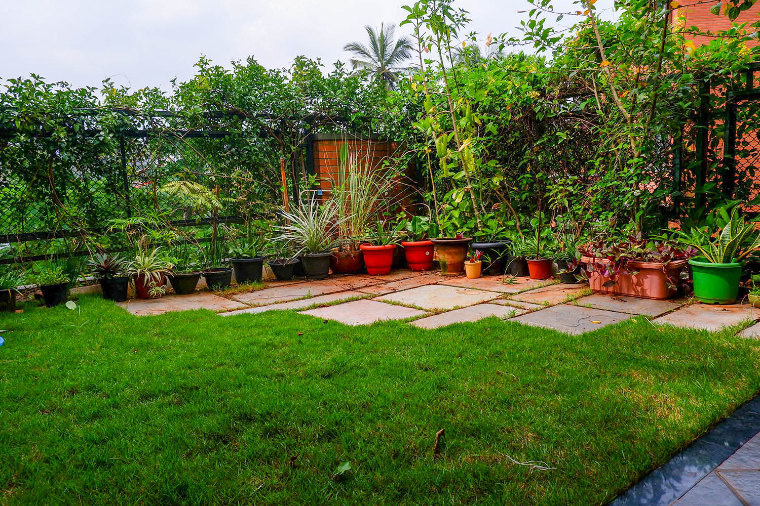 Terrace Gardening in Urban Landscapes