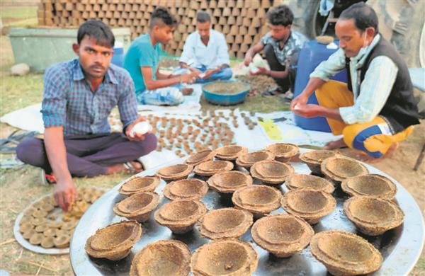 cow dung Fertile Opportunities