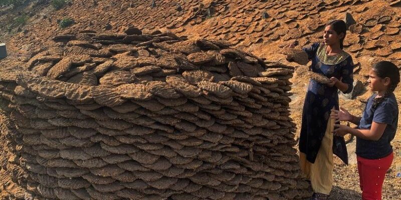 Cow Dung for Rural Business