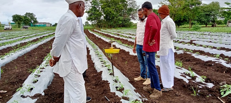 Flipkart and TechnoServe Unite to Support Indian Farmers