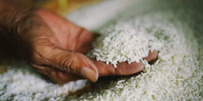 India's Rice Exports Ban