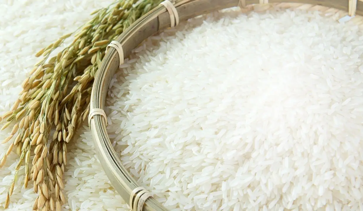 India's Rice Production