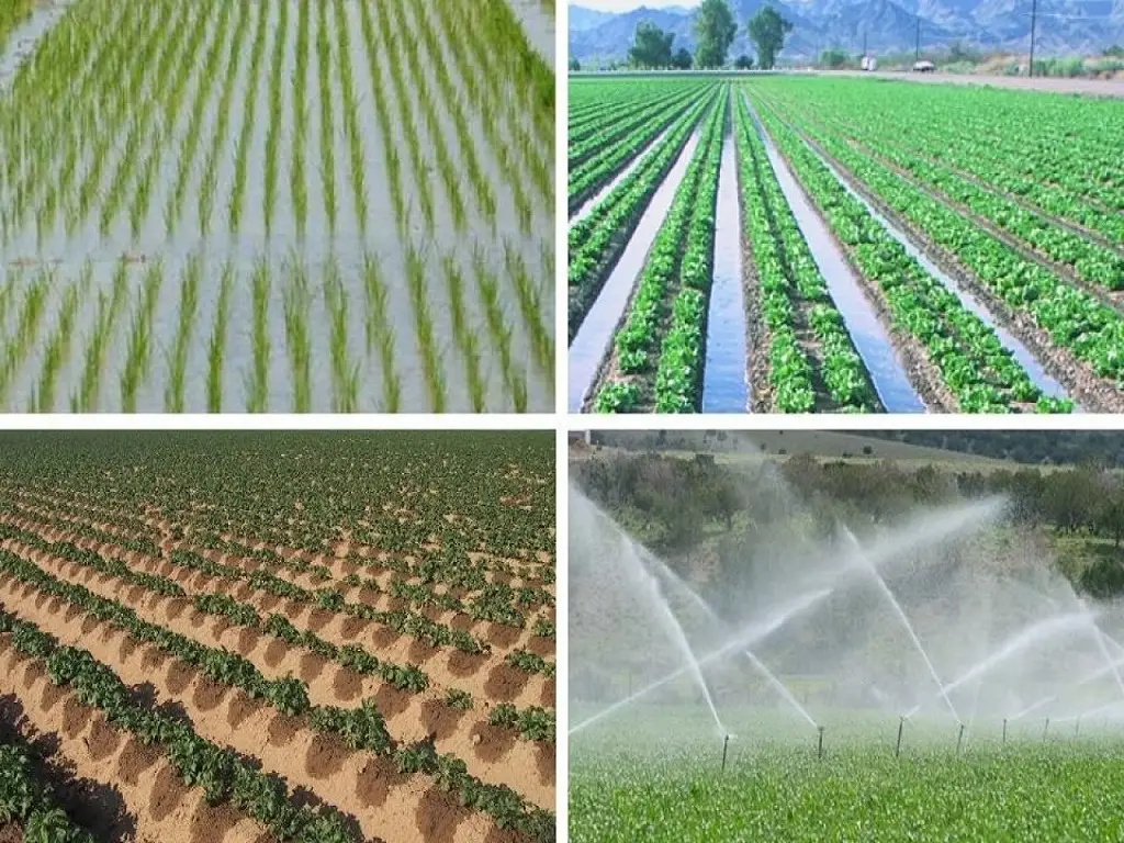 Irrigation