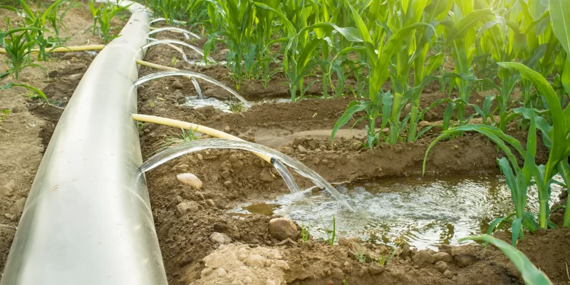 Irrigation