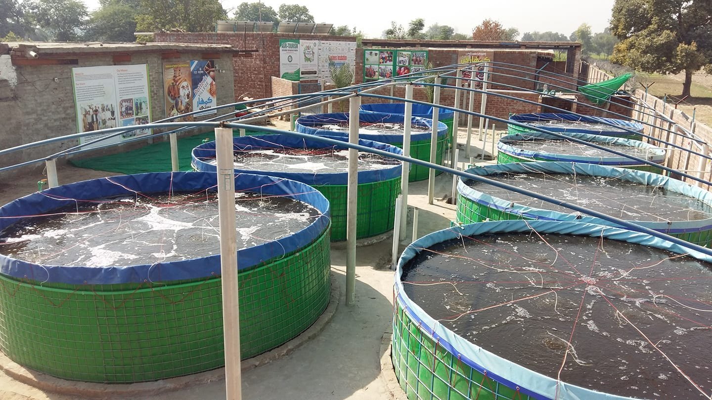 Modern Fish Farming