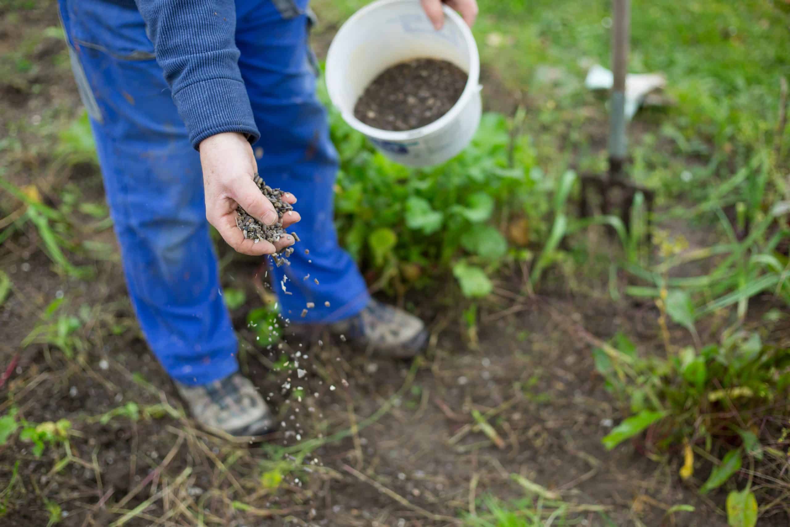 Oil Cake Powder for plant protection