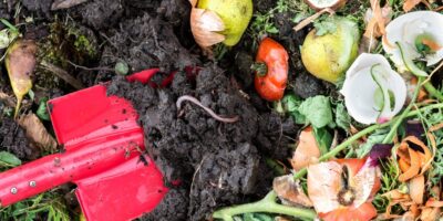 Organic Waste into Profitable Vermi Composting
