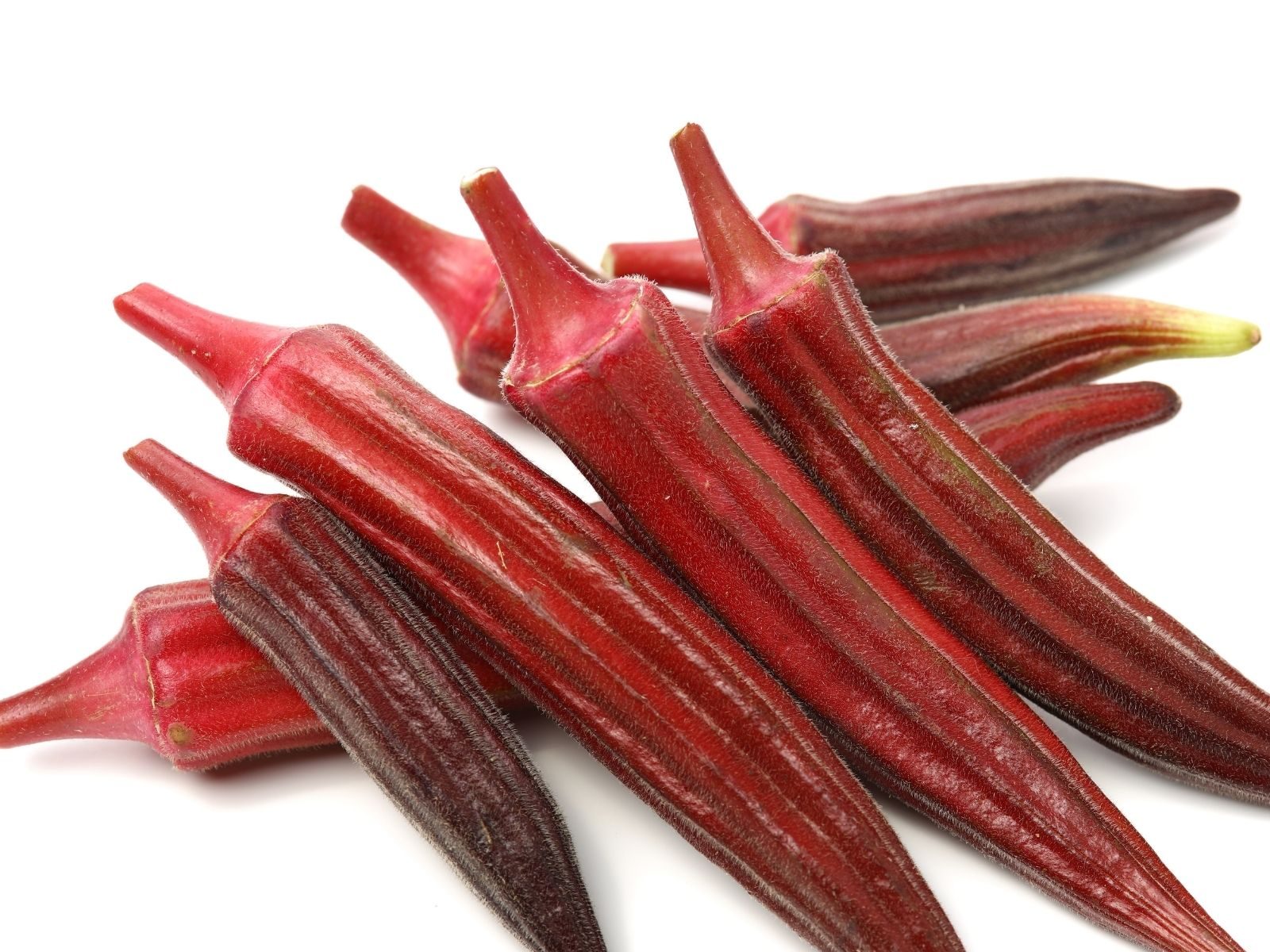 Red Okra 