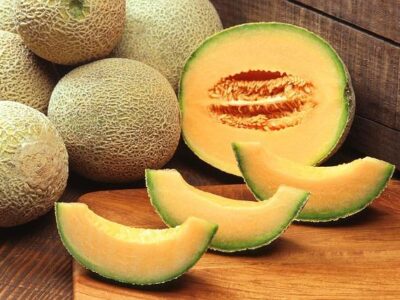 Sun Melon Farming