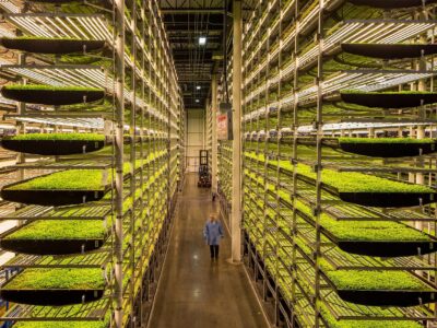 Vertical Farming