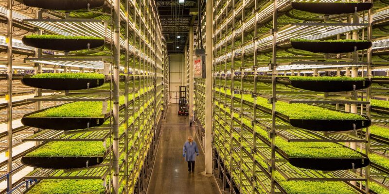 Vertical Farming