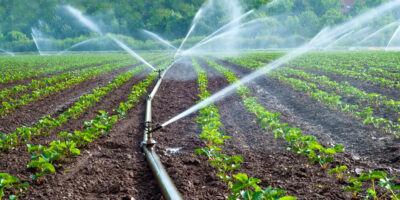 Irrigation System