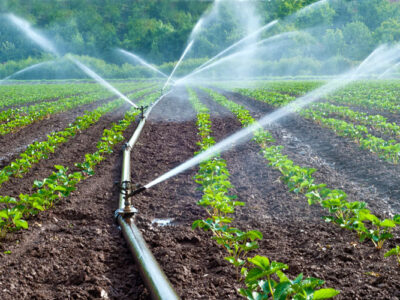 Irrigation System