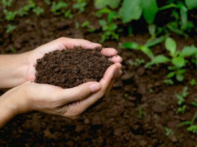 Soil Health