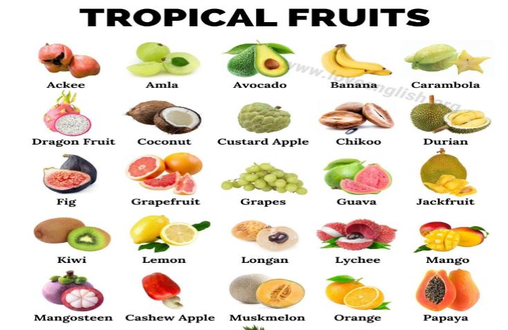 Tropical Fruits